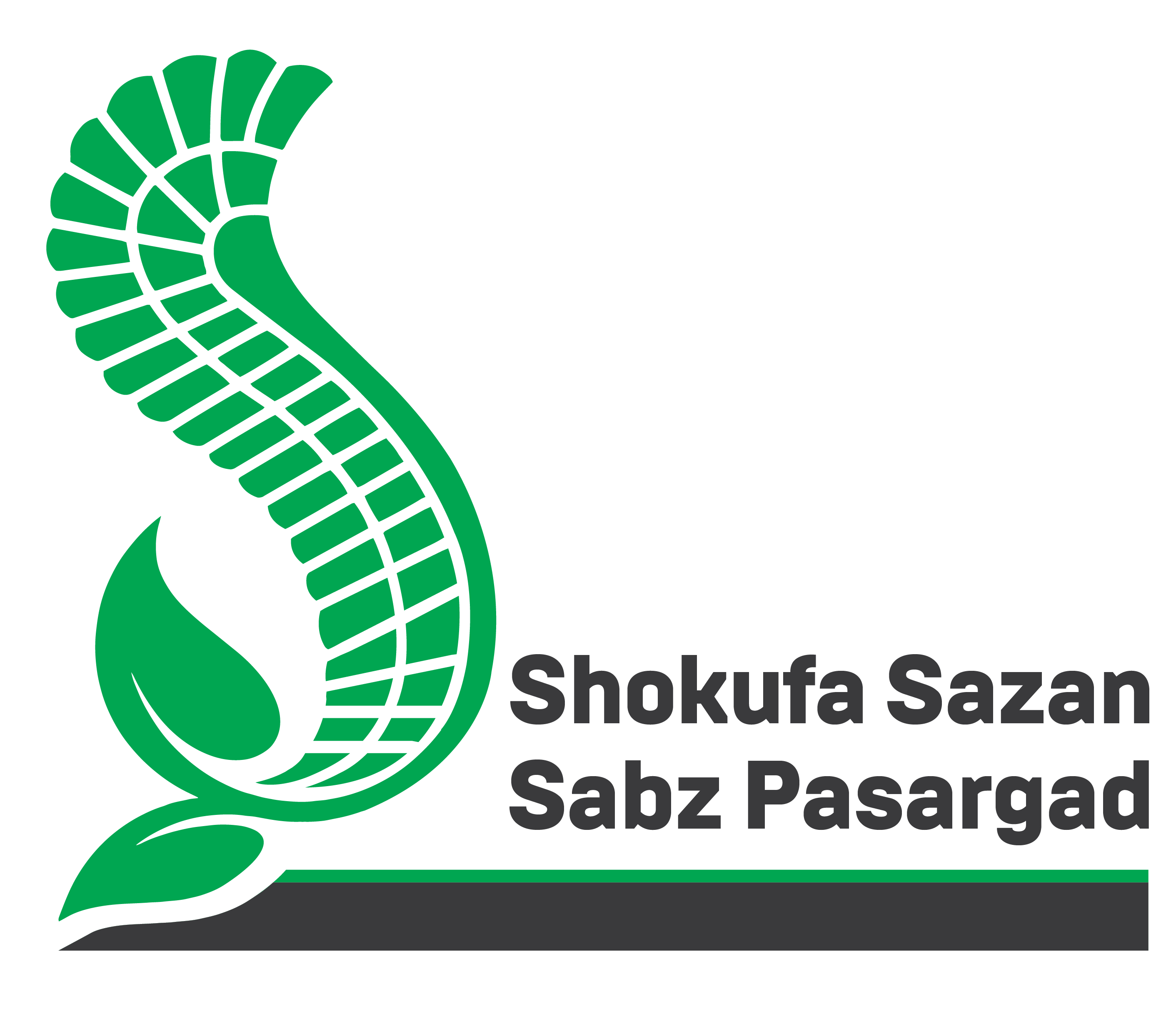 Shokufa Sazan Sabz Pasargad